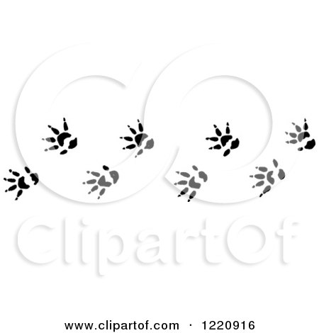 Clipart of Black and White Opossum Tracks - Royalty Free Vector Illustration by Picsburg