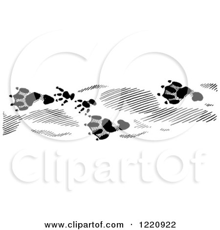 Clipart of Black and White Beaver Tracks - Royalty Free Vector Illustration by Picsburg