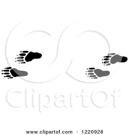 Clipart of Black and White Raccoon Tracks - Royalty Free Vector Illustration by Picsburg