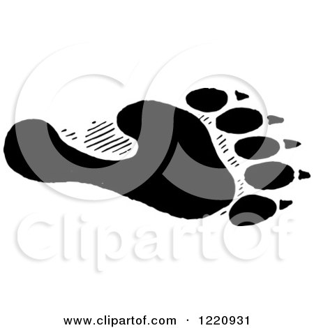 Clipart of Black and White a Black and White Bear Hind Foot Track - Royalty Free Vector Illustration by Picsburg