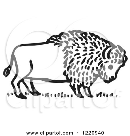 Clipart of a Black and White Buffalo - Royalty Free Vector Illustration by Picsburg