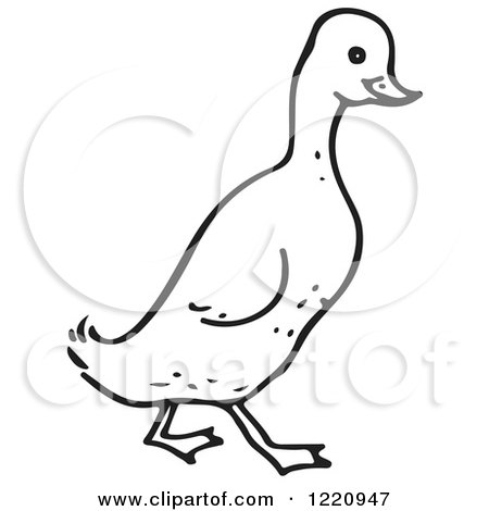 Clipart of a Black and White Walking Duck - Royalty Free Vector Illustration by Picsburg
