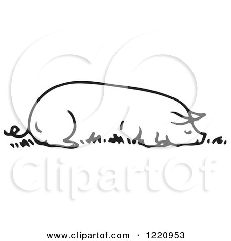 Clipart of a Black and White Sow Resting Eating - Royalty Free Vector Illustration by Picsburg