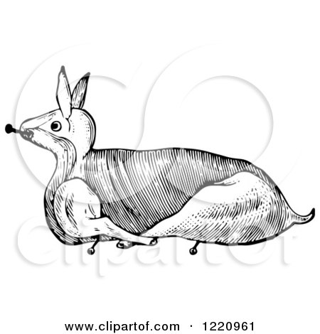 Clipart of a Black and White Rabbit Trussed for Roasting - Royalty Free Vector Illustration by Picsburg