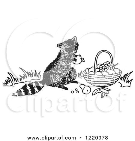 Clipart of a Black and White Raccoon Eating Fruit from a Basket - Royalty Free Vector Illustration by Picsburg
