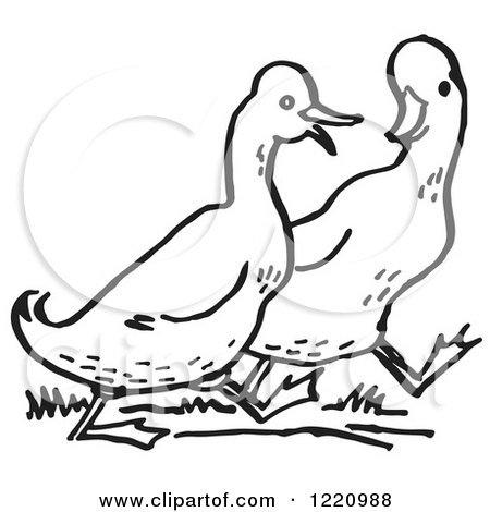 Clipart of Black and White Walking Ducks - Royalty Free Vector Illustration by Picsburg