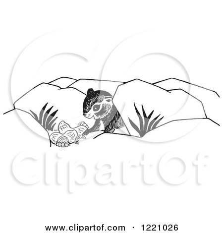 Clipart of a Black and White Chipmunk and Food - Royalty Free Vector Illustration by Picsburg