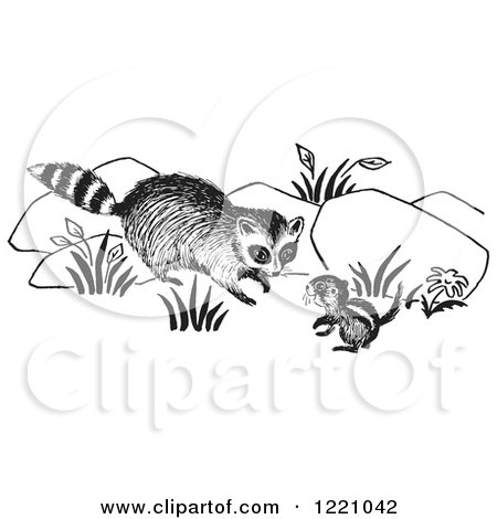 Clipart of a Black and White Raccoon and Chipmunk - Royalty Free Vector Illustration by Picsburg