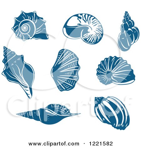 Clipart of Blue Sea Shells - Royalty Free Vector Illustration by Vector Tradition SM