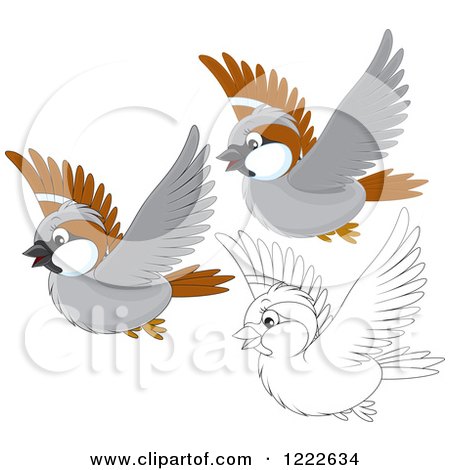 Clipart of Outlined and Colored Cute Sparrow Birds Flying - Royalty Free Vector Illustration by Alex Bannykh