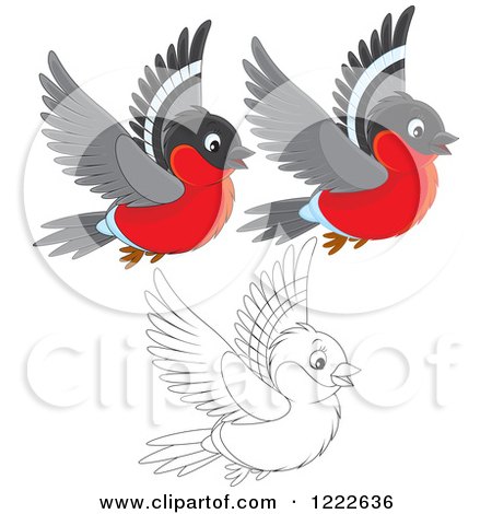 Clipart of Outlined and Colored Cute Bullfinch Birds Flying - Royalty Free Vector Illustration by Alex Bannykh