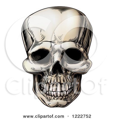 Clipart of a Vintage Human Skull - Royalty Free Vector Illustration by AtStockIllustration