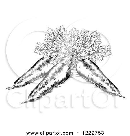 Clipart of Black and White Etched Carrots - Royalty Free Vector Illustration by AtStockIllustration