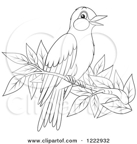 Clipart of an Outlined Oriole Bird Perched on a Branch - Royalty Free Vector Illustration by Alex Bannykh