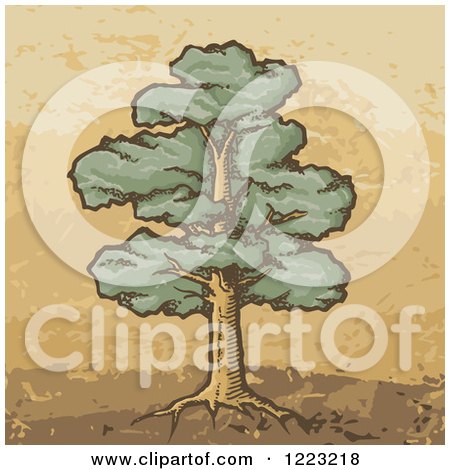 Clipart of a Sketched Mature Oak Tree on Brown and Tan - Royalty Free Vector Illustration by Any Vector