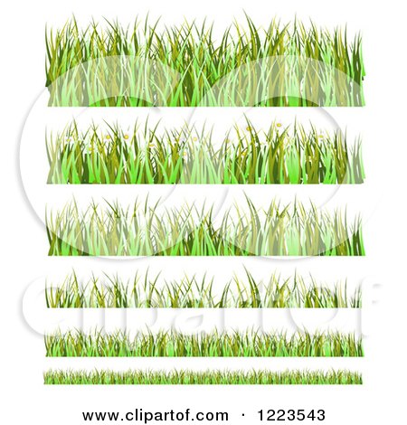 Clipart of Grass and Daisy Flower Borders - Royalty Free Vector Illustration by vectorace