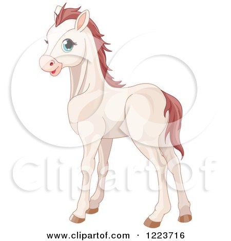 Clipart of a Cute White Baby Horse with Blue Eyes - Royalty Free Vector Illustration by Pushkin