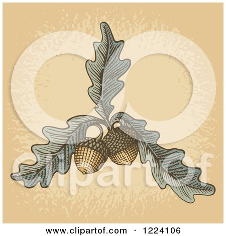 Clipart of Woodcut Acorns and Oak Leaves over Tan - Royalty Free Vector Illustration by Any Vector
