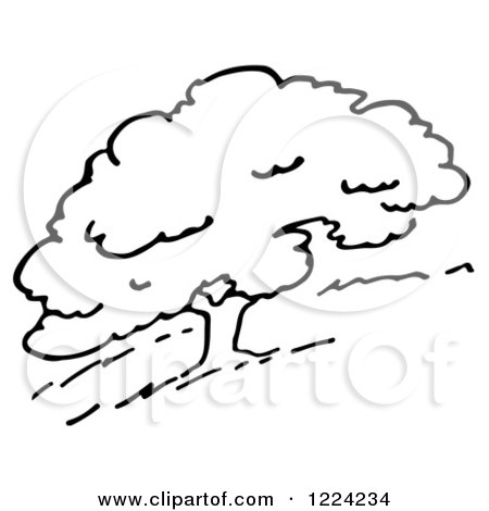 Clipart of a Black and White Hillside Tree - Royalty Free Vector Illustration by Picsburg