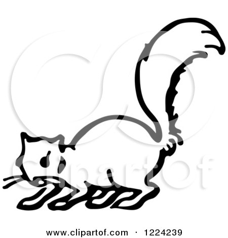 Clipart of a Black and White Squirrel - Royalty Free Vector Illustration by Picsburg
