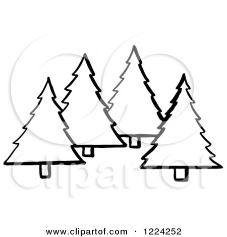 Clipart of Black and White Evergreen Trees - Royalty Free Vector Illustration by Picsburg