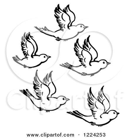 Clipart of Black and White Five Flying Birds - Royalty Free Vector Illustration by Picsburg