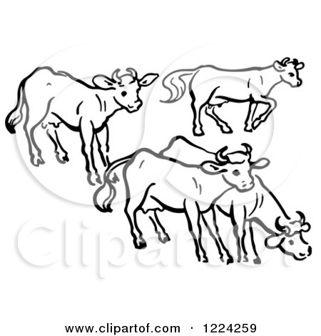 Clipart of Black and White a Group of Cows - Royalty Free Vector Illustration by Picsburg