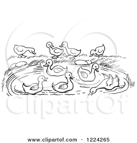 Clipart of a Black and White Pond with Ducks - Royalty Free Vector Illustration by Picsburg