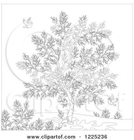 Clipart of an Outlined Winter Tree with Robins - Royalty Free Vector Illustration by Alex Bannykh