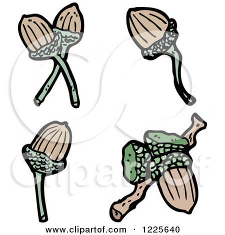 Clipart of Acorns - Royalty Free Vector Illustration by lineartestpilot