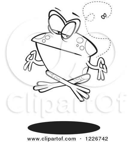 Clipart of a Cartoon Black and White Floating Meditating Frog and Fly - Royalty Free Vector Illustration by toonaday