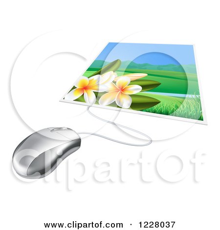 Clipart of a Computer Mouse Connected to a Photo of Fangipani Flowers - Royalty Free Vector Illustration by AtStockIllustration