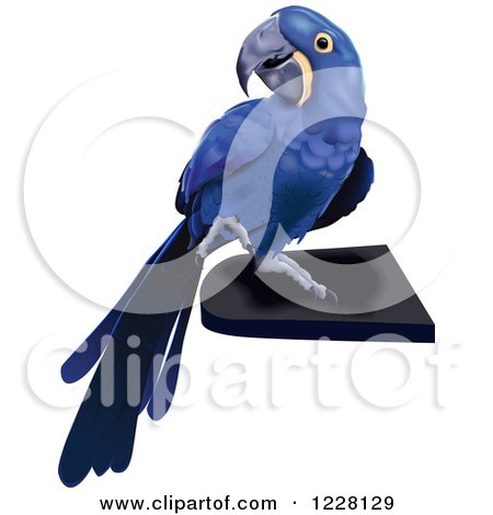 Clipart of a Hyacinth Macaw Parrot - Royalty Free Vector Illustration by dero