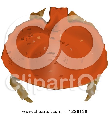 Clipart of a Red Rock Crab - Royalty Free Vector Illustration by dero