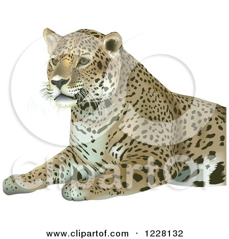 Clipart of a Sitting Leopard - Royalty Free Vector Illustration by dero
