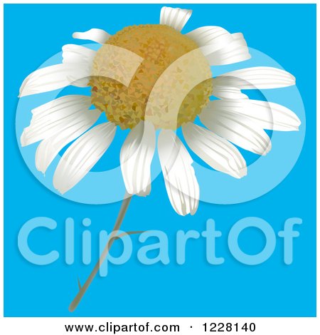 Clipart of a Camomile Flower - Royalty Free Vector Illustration by dero