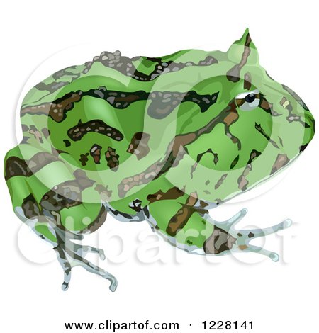 Clipart of a Green Surinam Horned Frog - Royalty Free Vector Illustration by dero