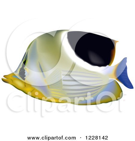 Clipart of a Saddleback Butterflyfish - Royalty Free Vector Illustration by dero