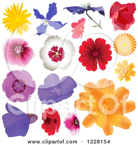 Clipart of Colorful Flowers - Royalty Free Vector Illustration by dero
