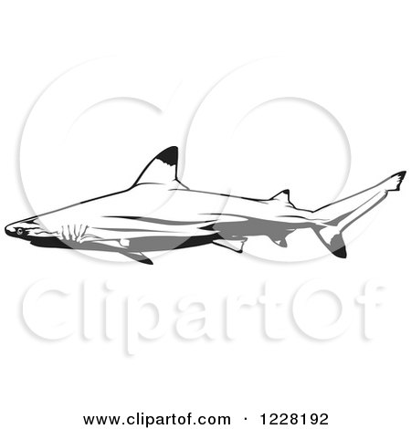 Clipart of a Black and White Blacktip Reef Shark - Royalty Free Vector Illustration by dero