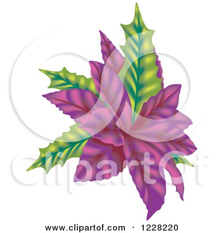 Clipart of a Purple Poinsettia - Royalty Free Vector Illustration by dero