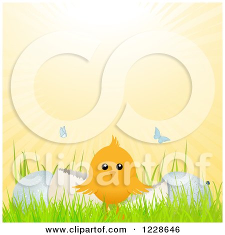 Clipart of Butterflies and Sunshine over a Cute Easter Chick and Cracked Eggs - Royalty Free Vector Illustration by elaineitalia