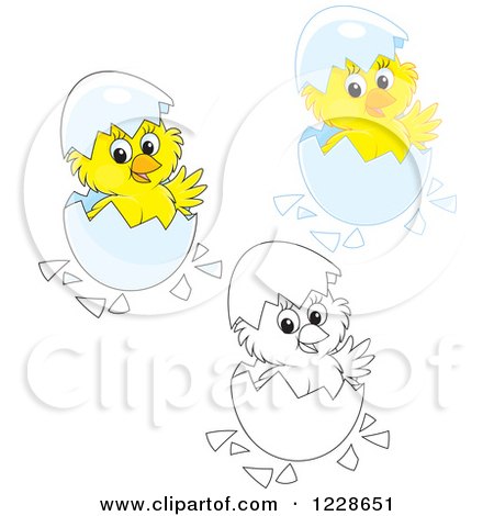 Clipart of Outlined and Colored Cute Chicks Hatching from Eggs - Royalty Free Vector Illustration by Alex Bannykh