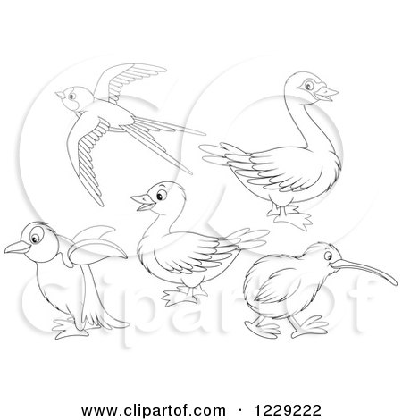 Clipart of Outlined Cute Birds - Royalty Free Vector Illustration by Alex Bannykh