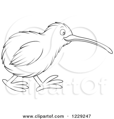 Clipart of an Outlined Cute Kiwi Bird - Royalty Free Vector Illustration by Alex Bannykh