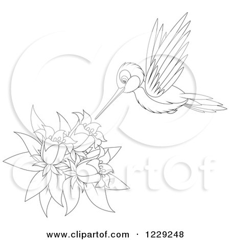 Clipart of an Outlined Cute Hummingbird Taking Nectar from Flowers - Royalty Free Vector Illustration by Alex Bannykh