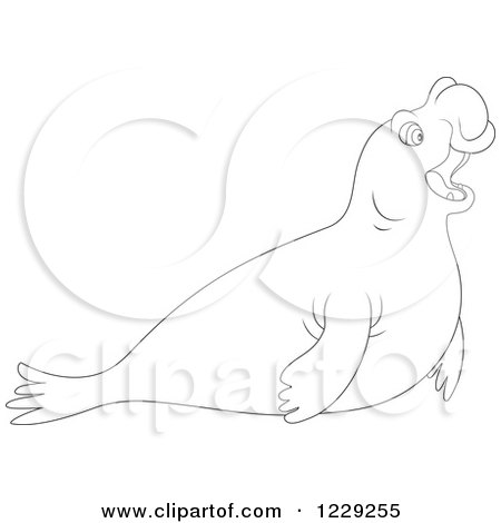 Clipart of an Outlined Cute Elephant Seal - Royalty Free Vector Illustration by Alex Bannykh