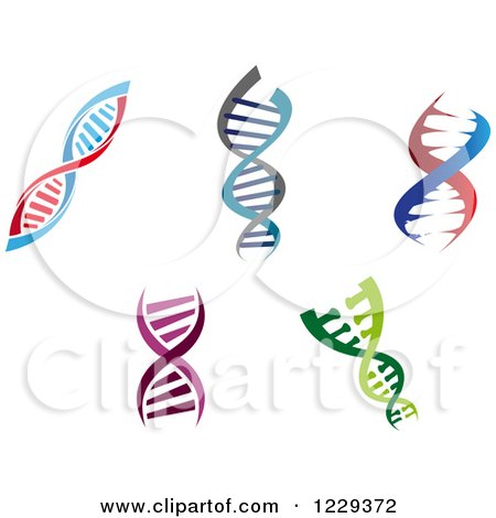 Clipart of Dna Double Helix Cloning Strands - Royalty Free Vector Illustration by Vector Tradition SM