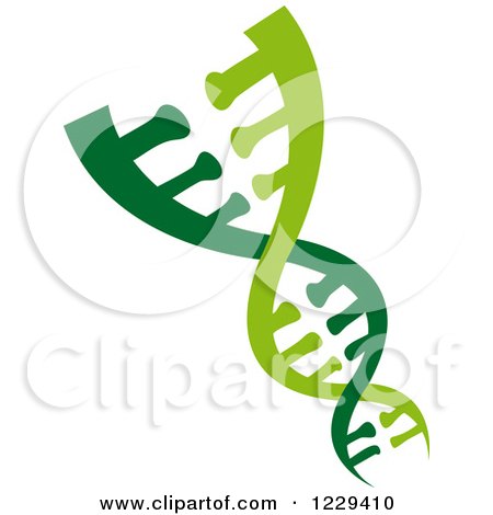 Clipart of a Dna Double Helix Cloning Strand 11 - Royalty Free Vector Illustration by Vector Tradition SM