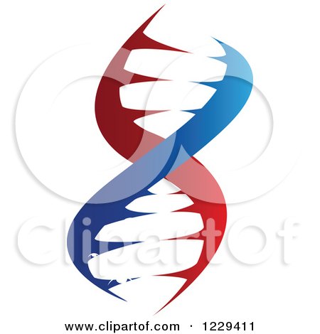 Clipart of a Dna Double Helix Cloning Strand 9 - Royalty Free Vector Illustration by Vector Tradition SM
